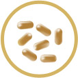 icon_6_bakterii.jpg