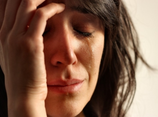 Сиырмен жыныстық қатынас Корольдік порно фильмдер