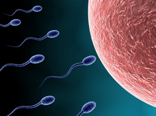 Шарлар мен пениса БДСМ өзін-өзі азаптау